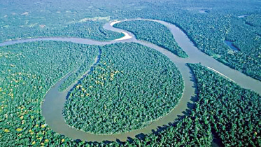 REDUCTION-AMAZON-DEFORESTATION.jpg