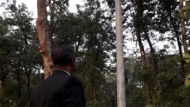 Reserve forest-1.jpg