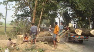 Robbers Jhenidah.jpg