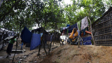 rohingya crisis problem