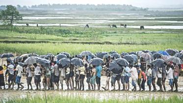 Rohingya Convergence