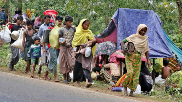 rohingya persecution.jpg