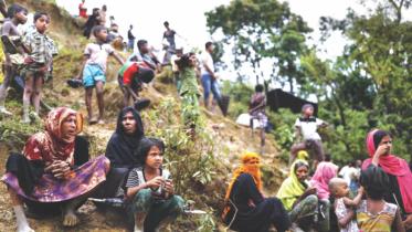 Rohingyas damage forest.jpg
