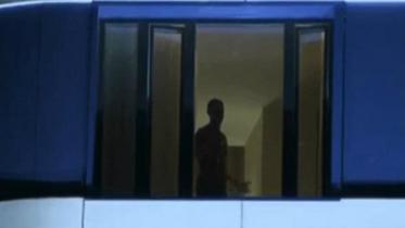 Ronaldo at the window.jpg