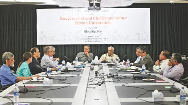 Roundtable, Private Universities, Successes and Challenges, Mahfuz Anam