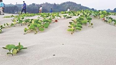 Sagarlata Cox’s Bazar Beaches.jpg