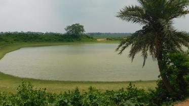 Santals Kuamara pond.jpg