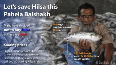 save-hilsa
