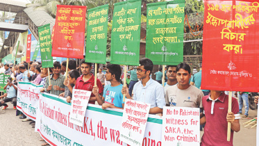 Sector Commanders.jpg