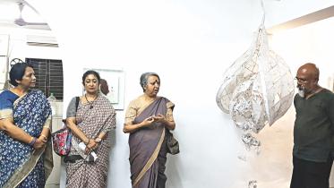 seed through art 1.jpg