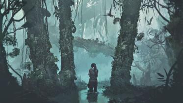 Shadow Of A Franchise