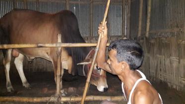 Shahitari village.jpg