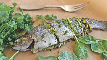 Shattering the Stereotypes