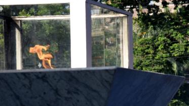 Shikha Anirban (flame eternal)