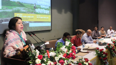 Shirin Sharmin Chaudhury.jpg