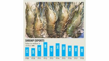 Shrimp exports.jpg