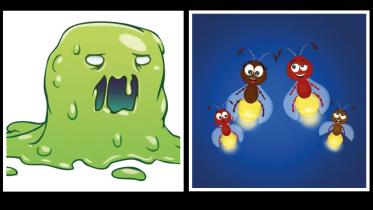 Slime.jpg