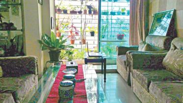 Small space greenery