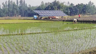 solar-power_1.jpeg