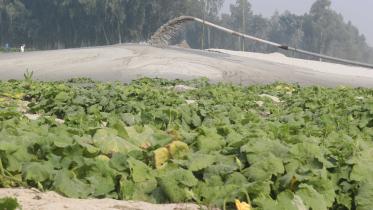 Spare dried riverbed 1.jpg