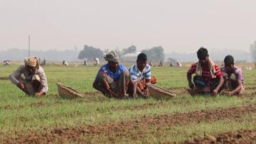 Spiralling price lifts.jpg