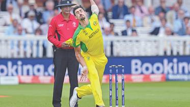 starc.jpg