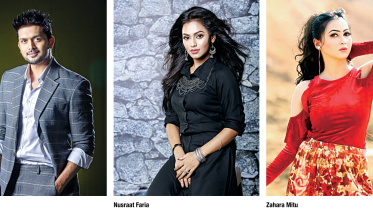 Stars in home-quarantine.jpg