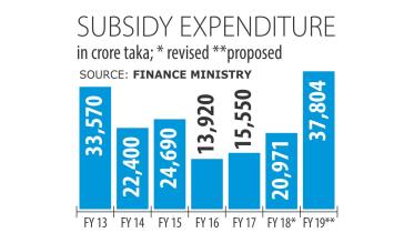 Subsidy outlay.jpg