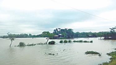 Sunamganj haor areas.jpg
