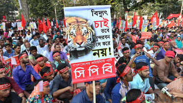 Sundarban protest.jpg