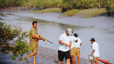 sundarbans-afp.jpg