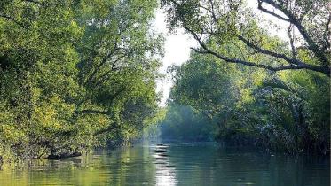 Sundarbans.jpg