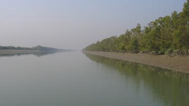 sunderbans-river.jpg