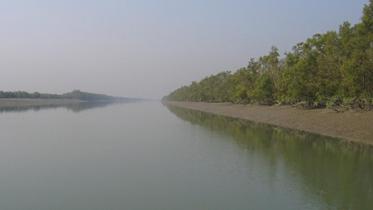 sunderbans-river.jpg