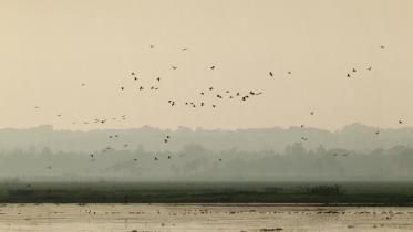 Sunset at Baikka Beel.jpg
