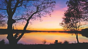 Super Massive Black Hole