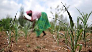 Sustainable livelihood