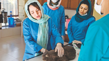 Taliban’s.jpg