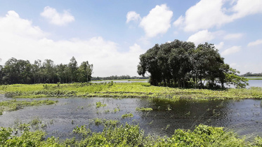 Tangail Fllood.jpg
