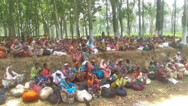 Tea workers in high risk