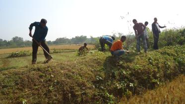 Tea workers’ venture 1.jpg