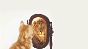 The Beauty Regimen that Costs Nothing