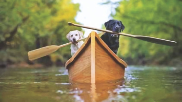 The Common Personalities In A Trip