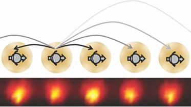 The Discovery of Time Crystals