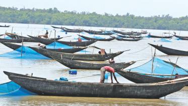 The Invisible Victims of “Development”