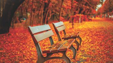 The leaves came tumbling down