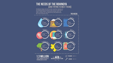 The Neeeds of the Rohingya