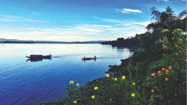 The Plight of the Indigenous People