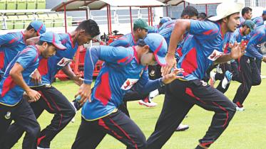 The Tigers are back.jpg