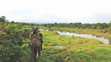 Thoughts from Chitwan